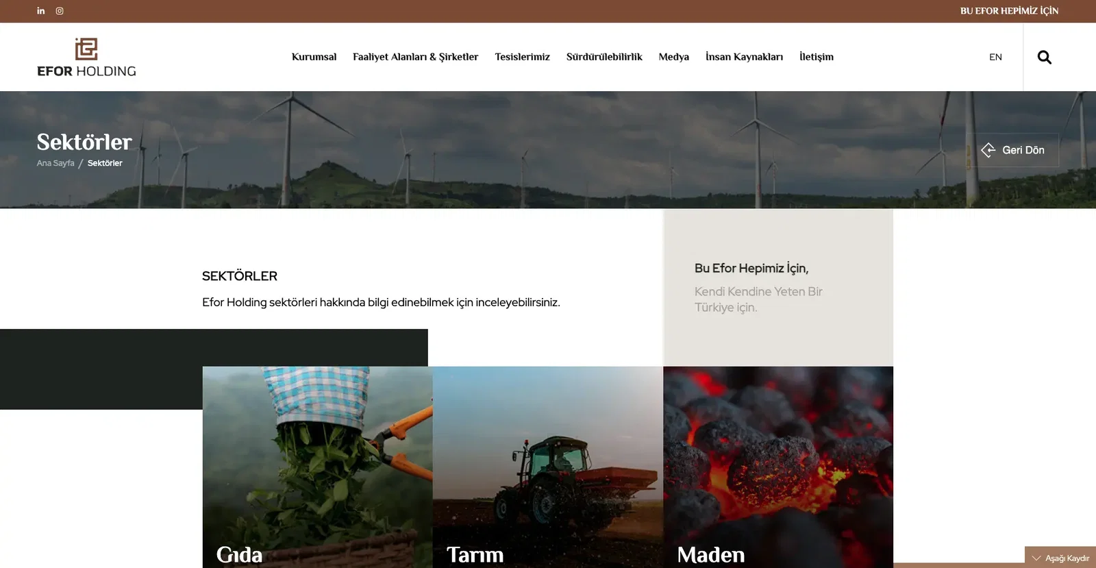 Strong Presence in Different Sectors