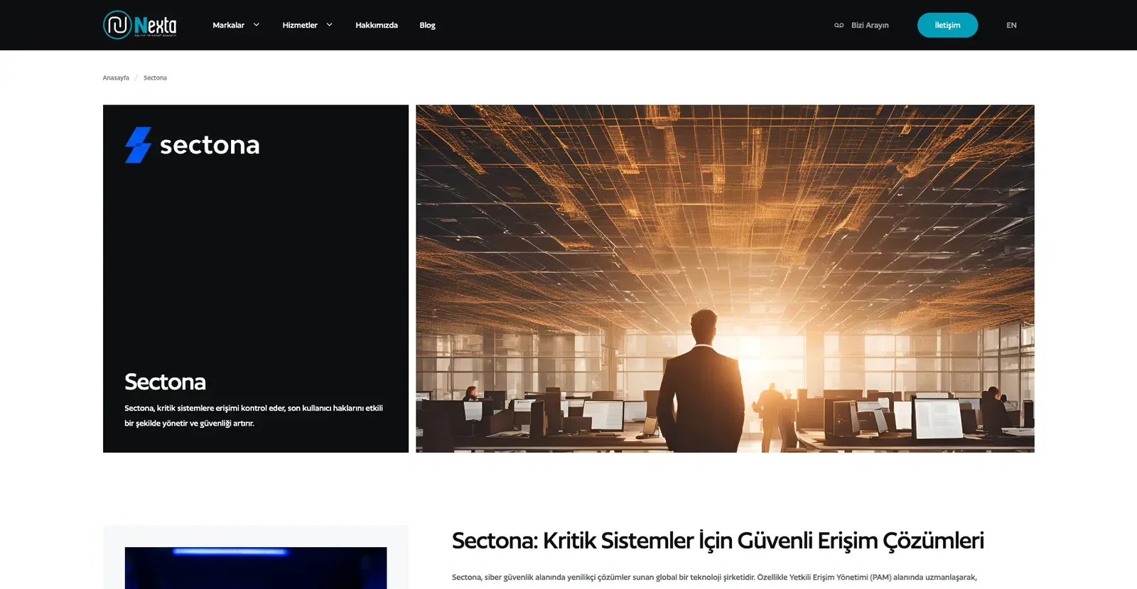 A Bridge to Success with Strong Brands